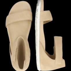 Allegra 1