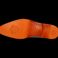 Leonardo 24