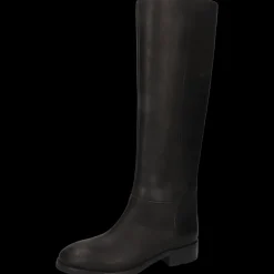Miranda 4